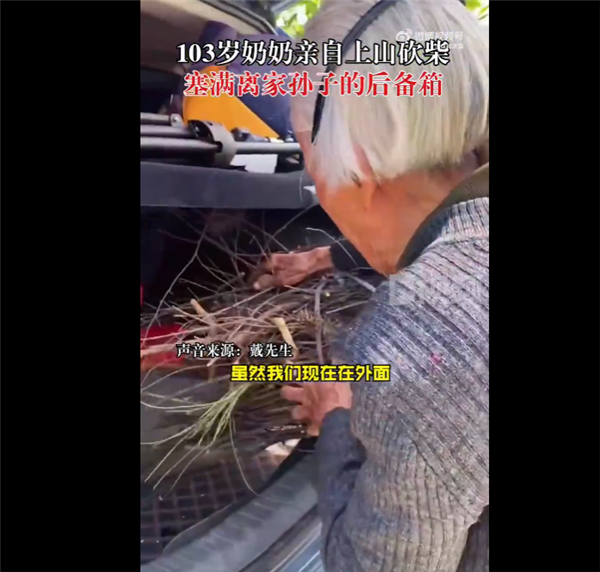 103岁奶奶上山砍柴塞满孙子后备箱:真相破防了 网友泪目(图1) 103岁奶奶上山砍柴塞满孙子后备箱:真相破防了 网友泪目