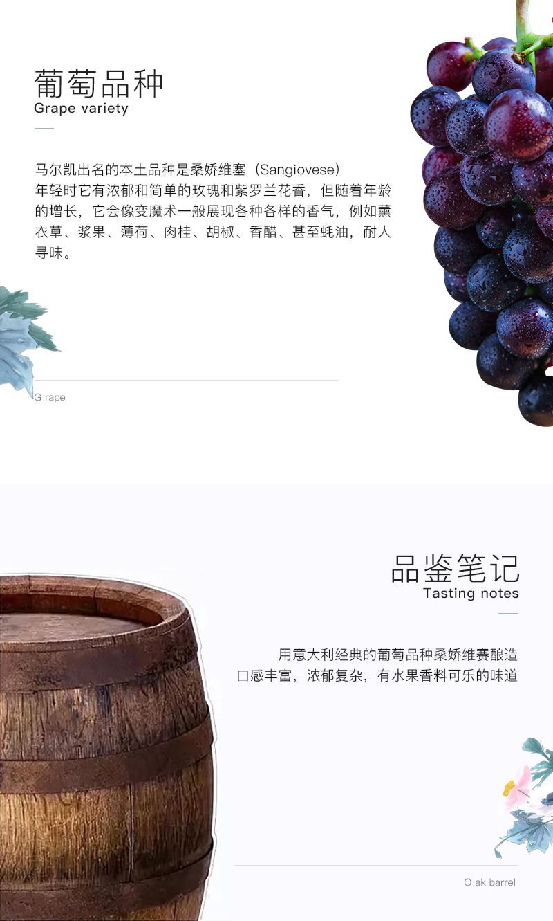 来自艺术与时尚之都意大利的雷盛636(图4)