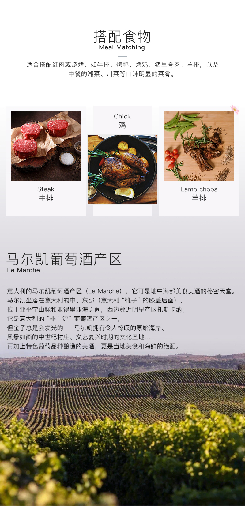 来自艺术与时尚之都意大利的雷盛636(图3)