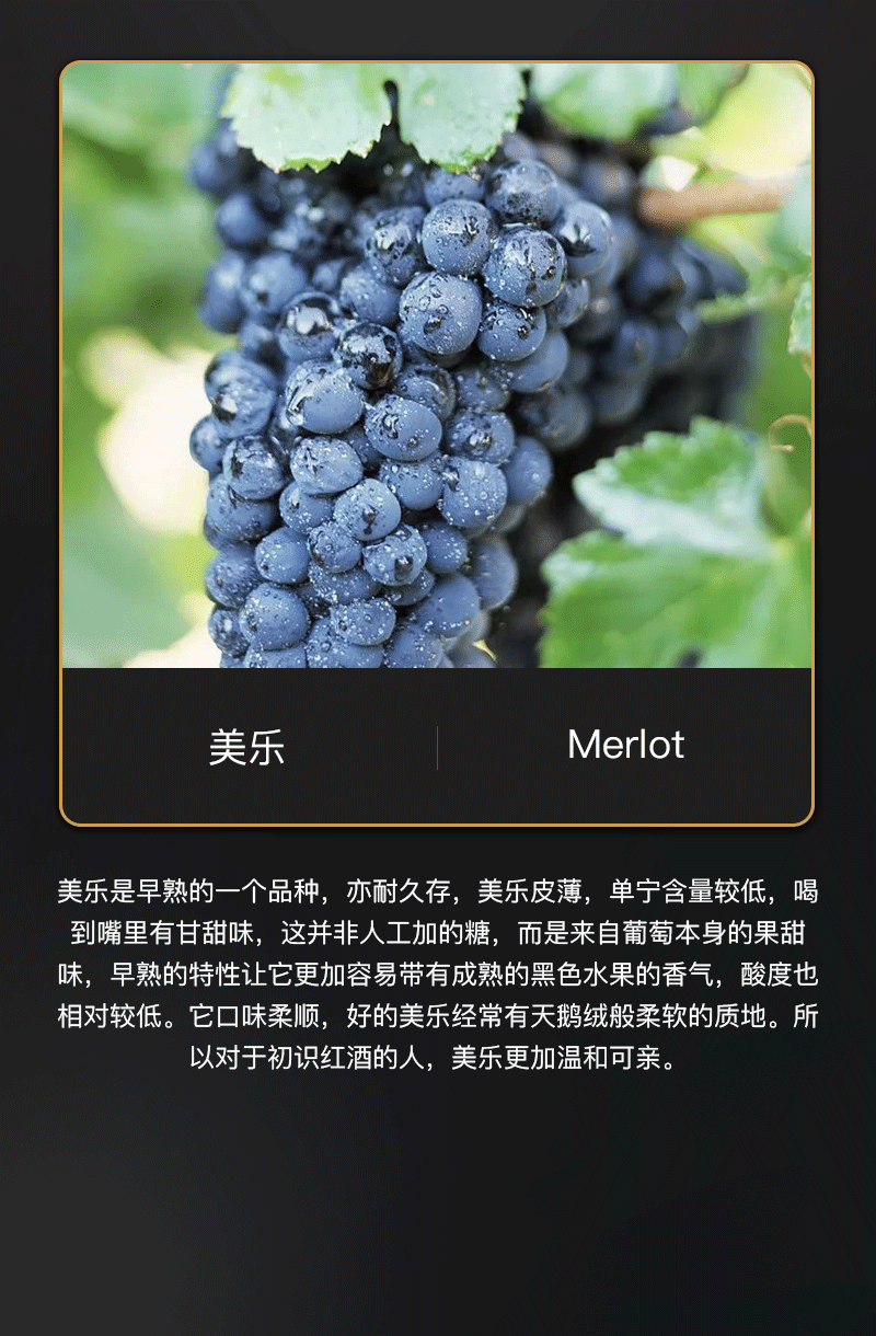 雷盛红酒828法国aop干红葡萄酒(图5)