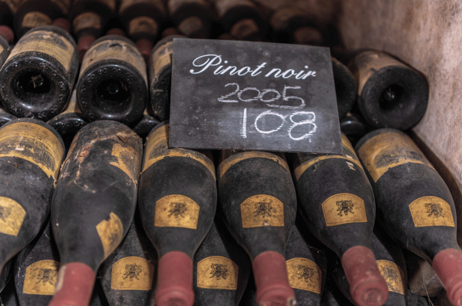 汉密尔顿罗素黑皮诺:1981 年至 2021 年(图1) hamilton-russell-pinot-noirs-葡萄酒图书馆