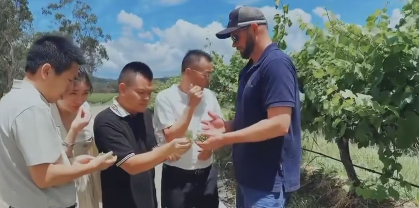 云仓酒庄远赴澳洲深度考察,从葡萄种植到市场定位全面深耕(图4)